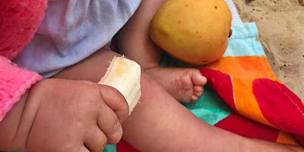 Starting Solids & Infant GUT health