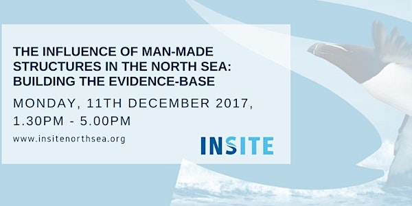 Man-made Structures in the North Sea: Building the Evidence Base