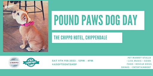 Pound Paws Dog Day at The Chippo Hotel
