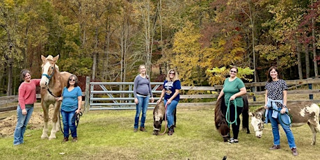 November SERVS - Veteran Spouse Equine Retreat