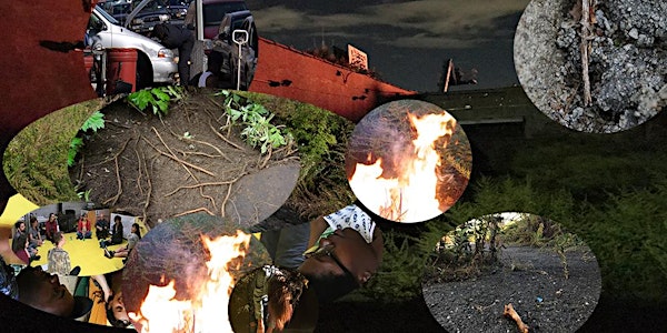 fertilizing fire circle