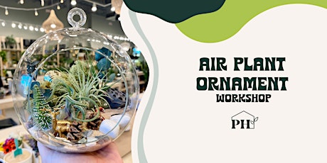 Air Plant Ornament Workshop