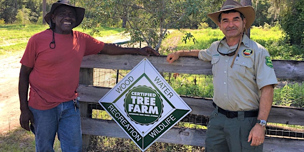 Florida Tree Farm Tour at Property of Albert Fuller