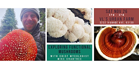 Exploring Functional Mushrooms primary image