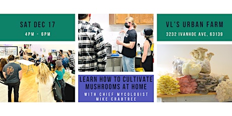 Learn How to Cultivate Mushrooms at Home primary image