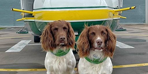 A Christmas Tail - 2022 with Paddy, Harry and the GNAAS Crew
