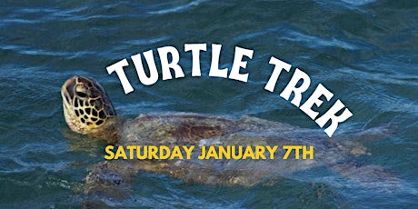 Los Cerritos Wetlands Nature Walk : Turtle Trek