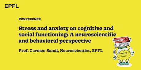 Hauptbild für Stress and anxiety on cognitive and social functioning