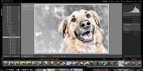 Adobe Lightroom Workshop - Make Editing Photos Easy primary image