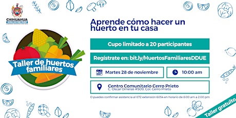 Imagen principal de Taller de Huertos Familiares