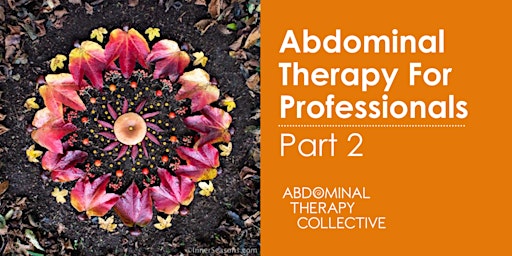 Primaire afbeelding van Abdominal Therapy For Professionals - Part 2