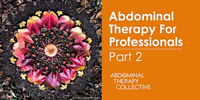 Abdominal Therapy For Professionals - Part 2 primary image