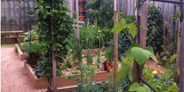 Organic Edible Gardens 