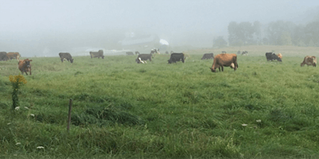 Imagen principal de Grass-Fed Dairy Production Course '23