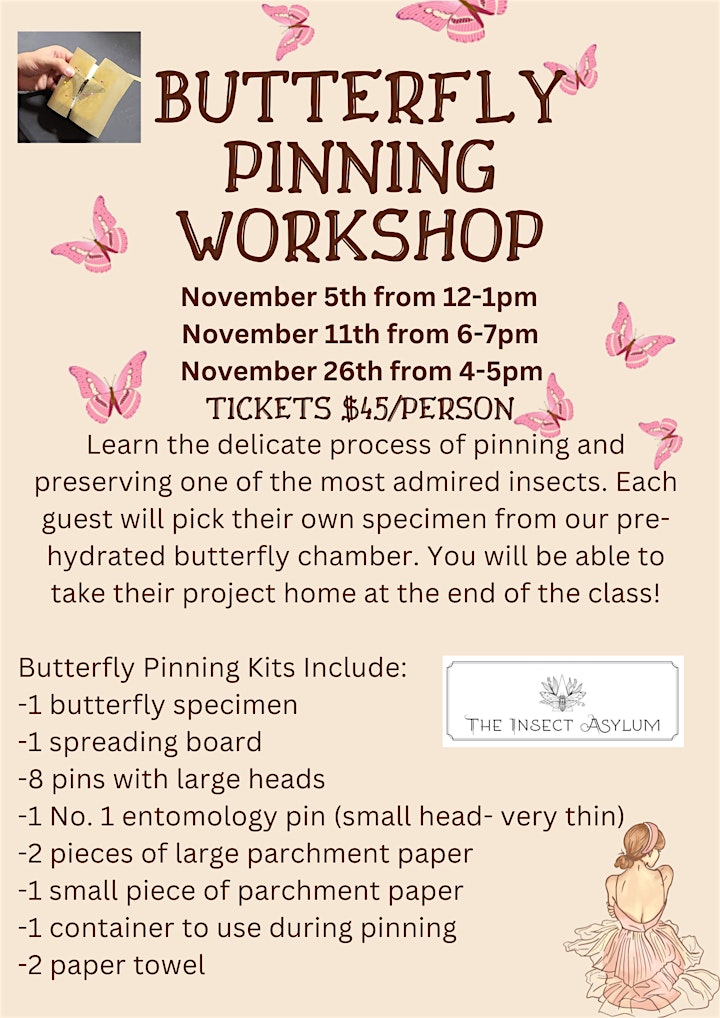 Butterfly Pinning Workshop! image