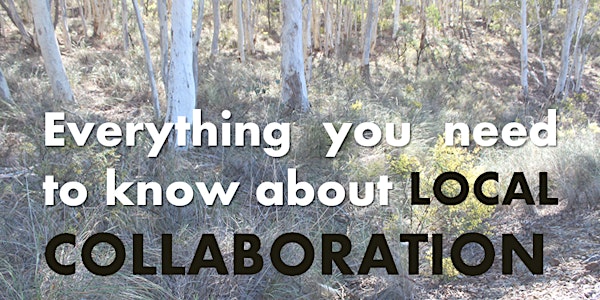 Everything you need to know about local collaboration (Mudgee)