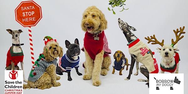 Doggy Christmas Jumper Day with BorrowMyDoggy & Save the Children