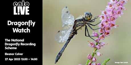 DragonflyWatch: The National Dragonfly Recording Scheme