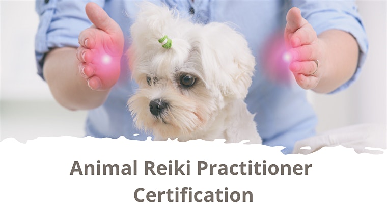 Animal Reiki Practitioner Certification