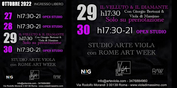 IL VELLUTO E IL DIAMANTE Studio Arte Viola, Neo Art Gallery