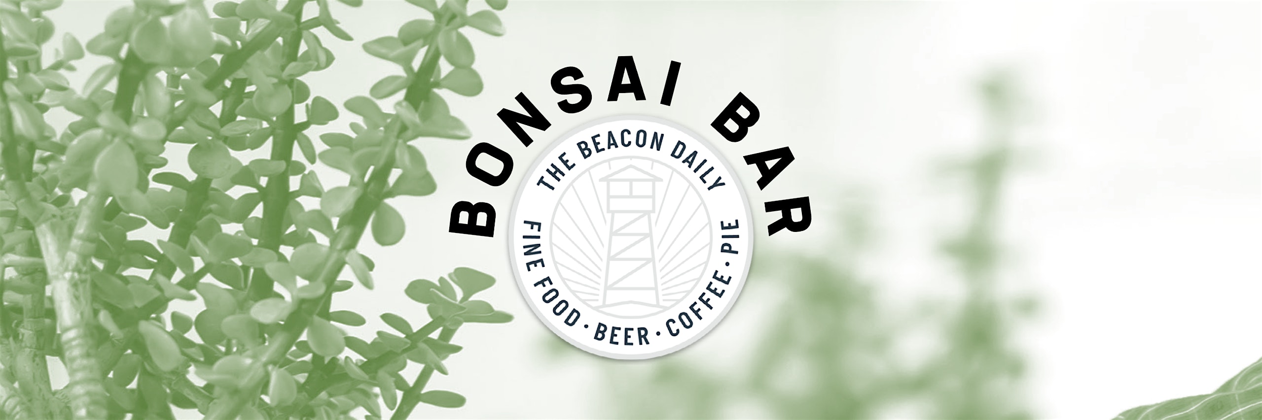 Bonsai Bar @ The Beacon Daily