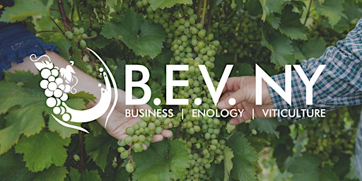 B.E.V. NY 2023: Making, Measuring, and Marketing New York Wine