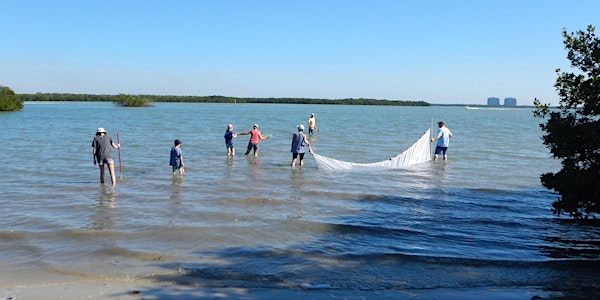 Estero Bay Aquatic Preserve Wading Trip