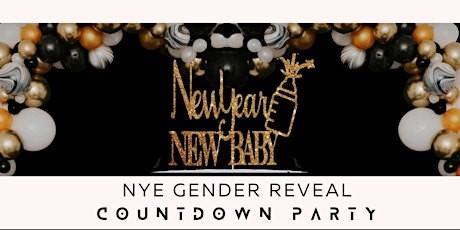NYE Gender Reveal Countdown Party