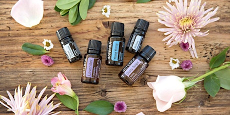 Essential Oils Experience (Northland) primary image