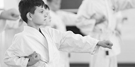 YOUR MARTIAL ARTS SCHOOL IN PICTURES primary image