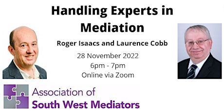 Handling Experts in Mediation