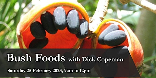 Bush Foods with Dick Copeman