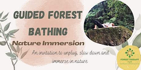Guided Forest Bathing Nature Immersion, Tai Po