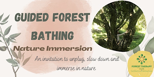 Guided Forest Bathing Nature Immersion, Sai Kung