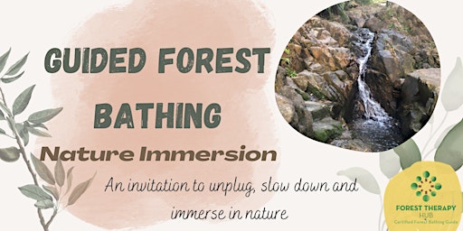 Guided Forest Bathing Nature Immersion, Lung Fu Shan