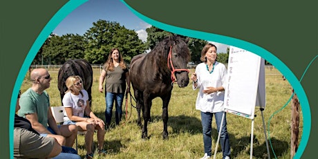 Hauptbild für Ausbildung pferdegestütztes Coaching: Lerne EQzellent kennen!