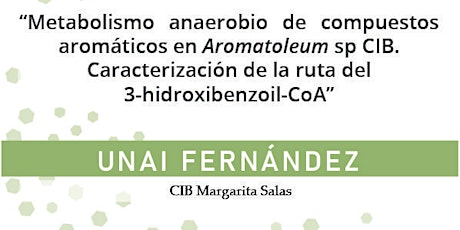 Metabolismo anaerobio de compuestos aromáticos en Aromatoleum sp CIB