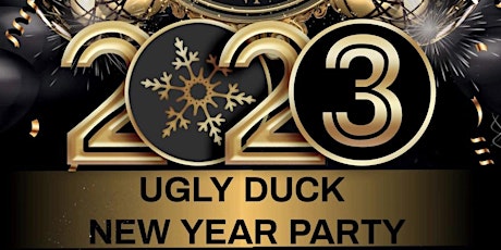 The Ugly Duck's New Years Party! primary image