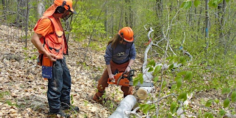 Basic Chainsaw Use & Safety for Beginners, September 26, 2023