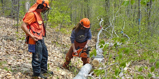 Immagine principale di Basic Chainsaw Use & Safety for Beginners, April 23, 2024 