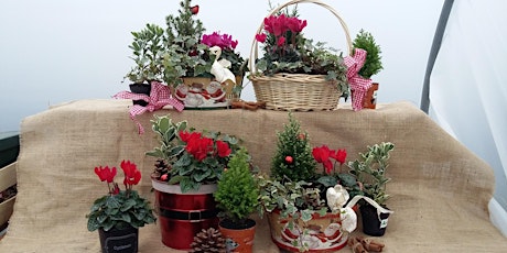 Make a Christmas Gift Basket primary image