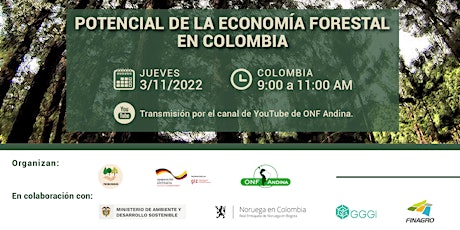 Imagen principal de Potencial de la Economía Forestal en Colombia