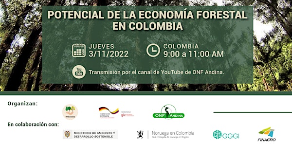 Potencial de la Economía Forestal en Colombia