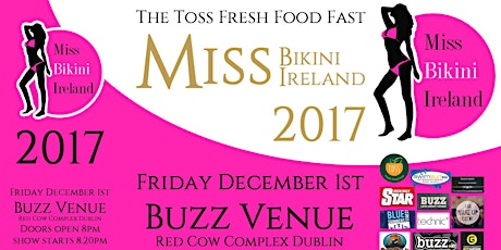 Miss Bikini Ireland 2017 primary image