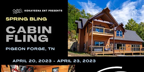 Imagen principal de Spring Bling Cabin Fling