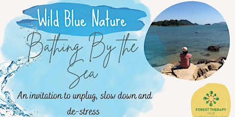Wild Blue Nature :: Forest Bathing by the Sea
