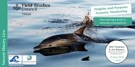 Dolphin and Porpoise Acoustic Monitoring primary image