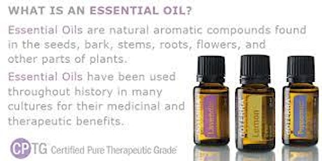 Family Health & Essential Oils primary image