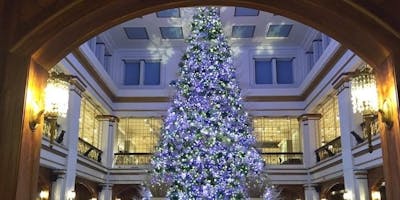 A Holiday Tour of Drinks, Daleys and Dead Guys