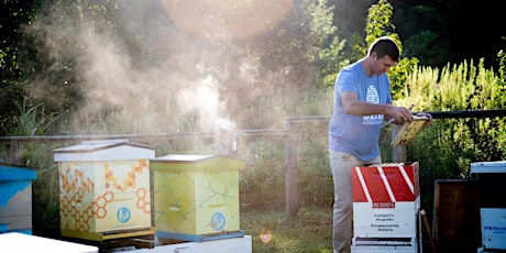 Image principale de Beekeeping Basics (This is Not A Bee School But A 90 Minute Introduction)